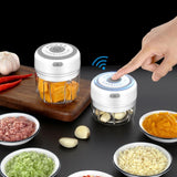 Electric Mini Food Blender Jennyhome