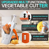 Multifunctional Vegetable Manual Grater Kitchen Tool Jennynailart